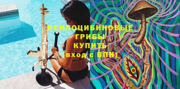 дживик Щучье